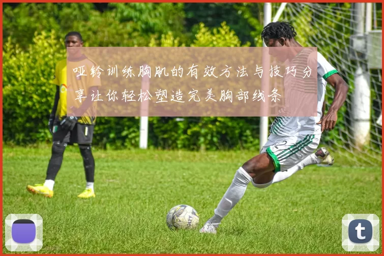 哑铃训练胸肌的有效方法与技巧分享让你轻松塑造完美胸部线条