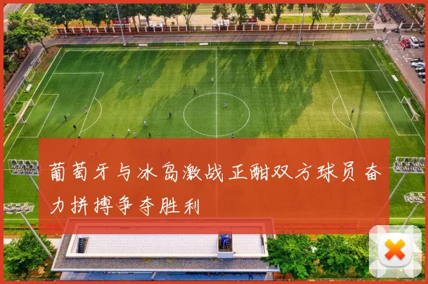 葡萄牙与冰岛激战正酣双方球员奋力拼搏争夺胜利