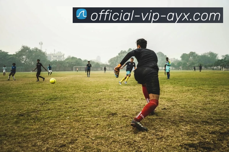 爱游戏服务体系